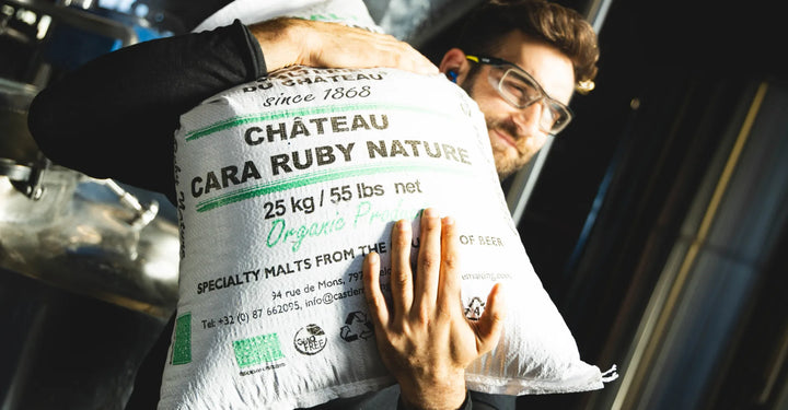 Biologisch Bier: Een Nieuwe Stap voor vandeStreek Bier